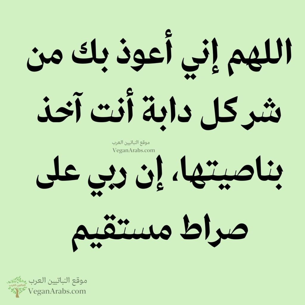 ٣٦- اللهم إني أعوذ بك من شر كل دابة أنت آخذ بناصيتها، إن ربي على صراط مستقيم.