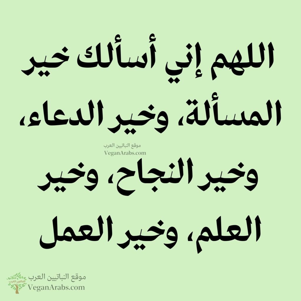 ٣٧- اللهم إني أسألك خير المسألة، وخير الدعاء، وخير النجاح، وخير العلم، وخير العمل.