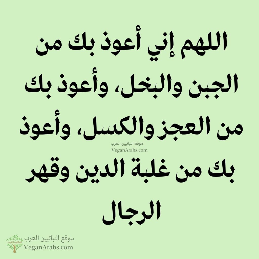 ٤٢- اللهم إني أعوذ بك من الجبن والبخل، وأعوذ بك من العجز والكسل، وأعوذ بك من غلبة الدين وقهر الرجال.