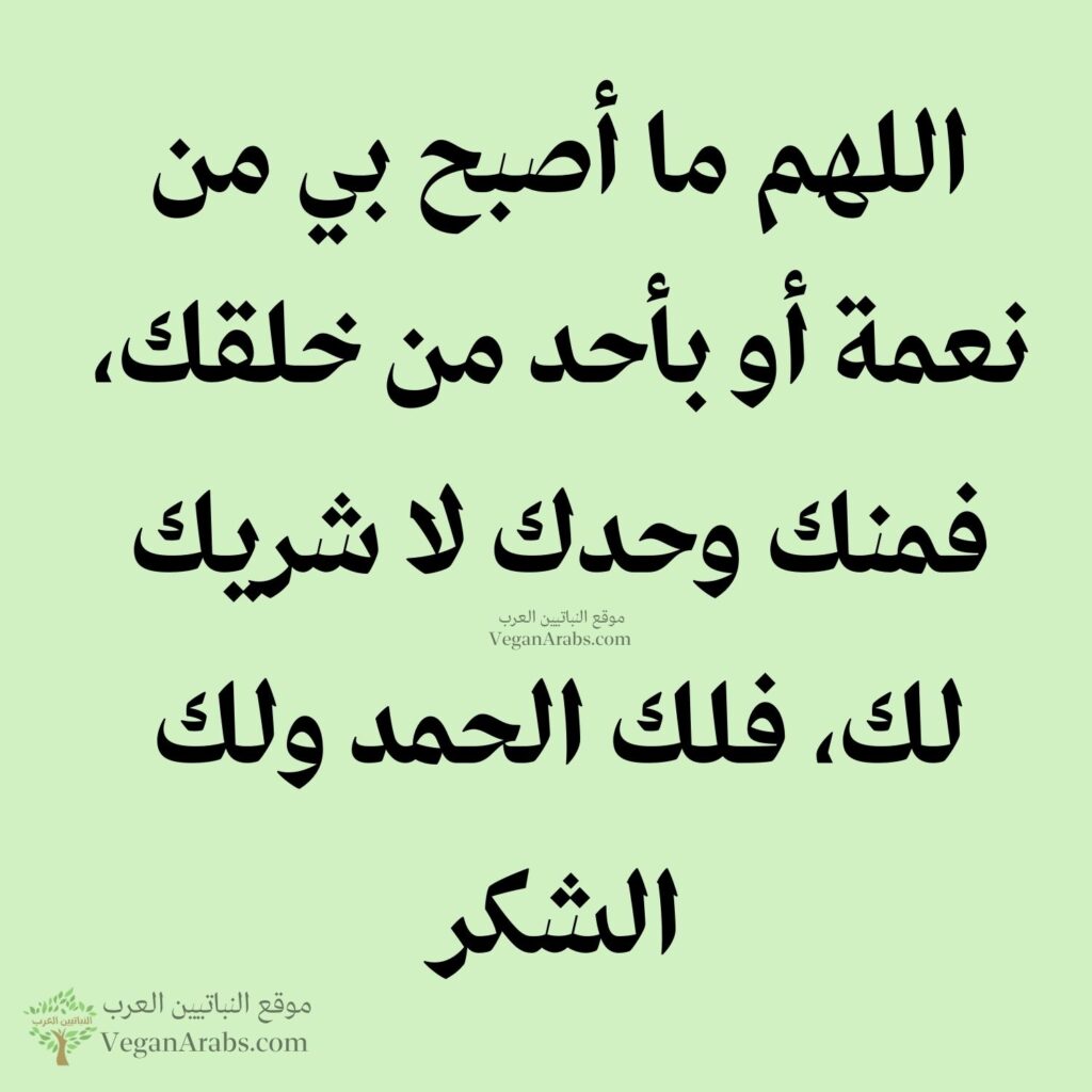 ٦- اللهم ما أصبح بي من نعمة أو بأحد من خلقك، فمنك وحدك لا شريك لك، فلك الحمد ولك الشكر.