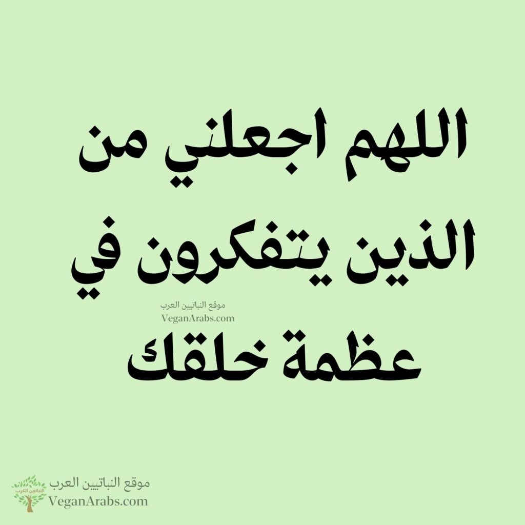 ٨١- اللهم اجعلني من الذين يتفكرون في عظمة خلقك.