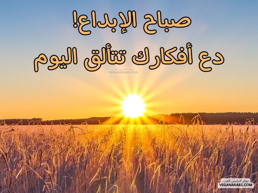 ٩- صباح الإبداع! دع أفكارك تتألق اليوم.