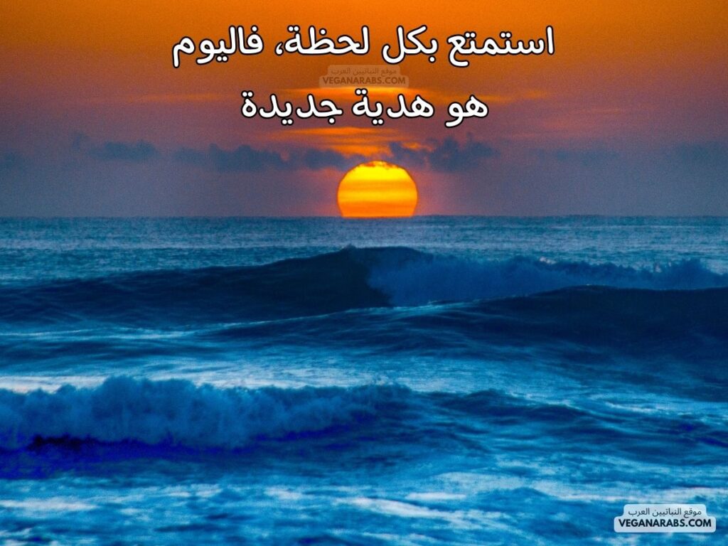 ١١- استمتع بكل لحظة، فاليوم هو هدية جديدة. رسائل صباحية موقع النباتيين العرب veganarabs.com 