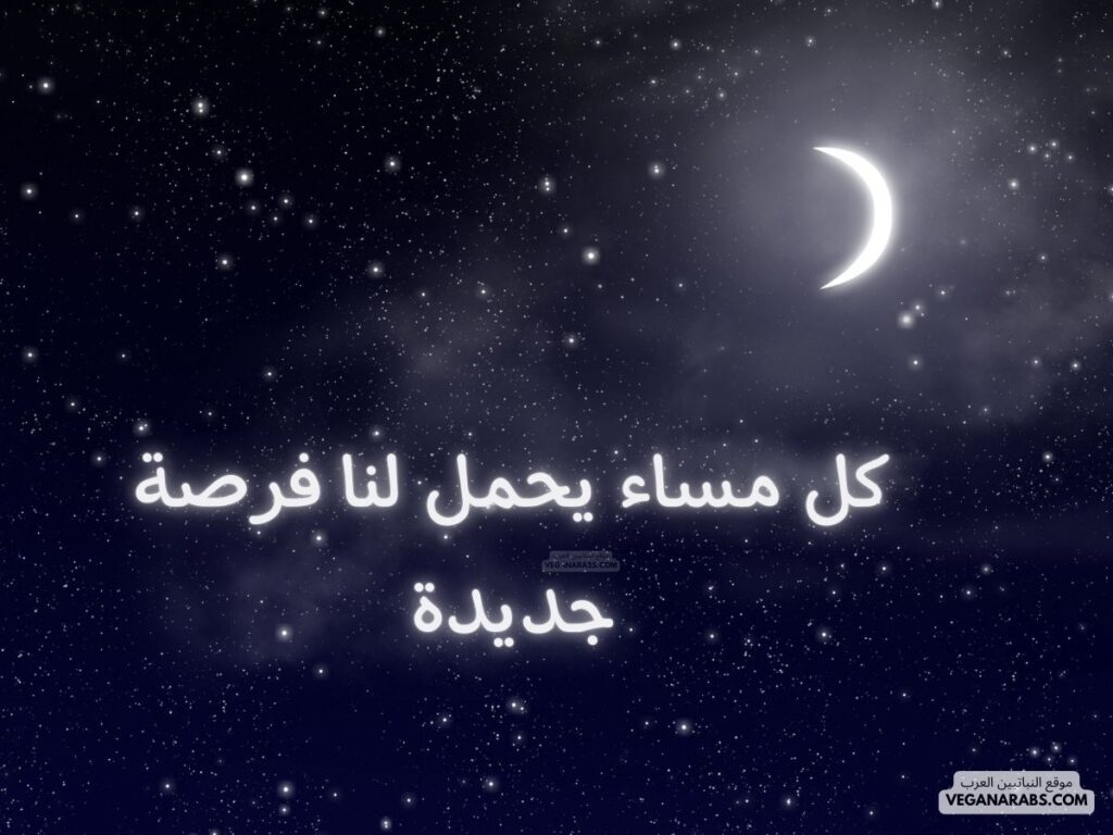 13- كل مساء يحمل لنا فرصة جديدة. veganarabs.com