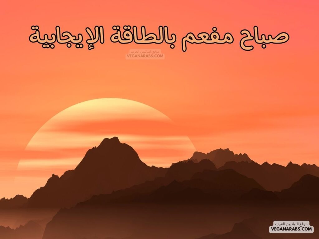 ١٤- صباح مفعم بالطاقة الإيجابية.