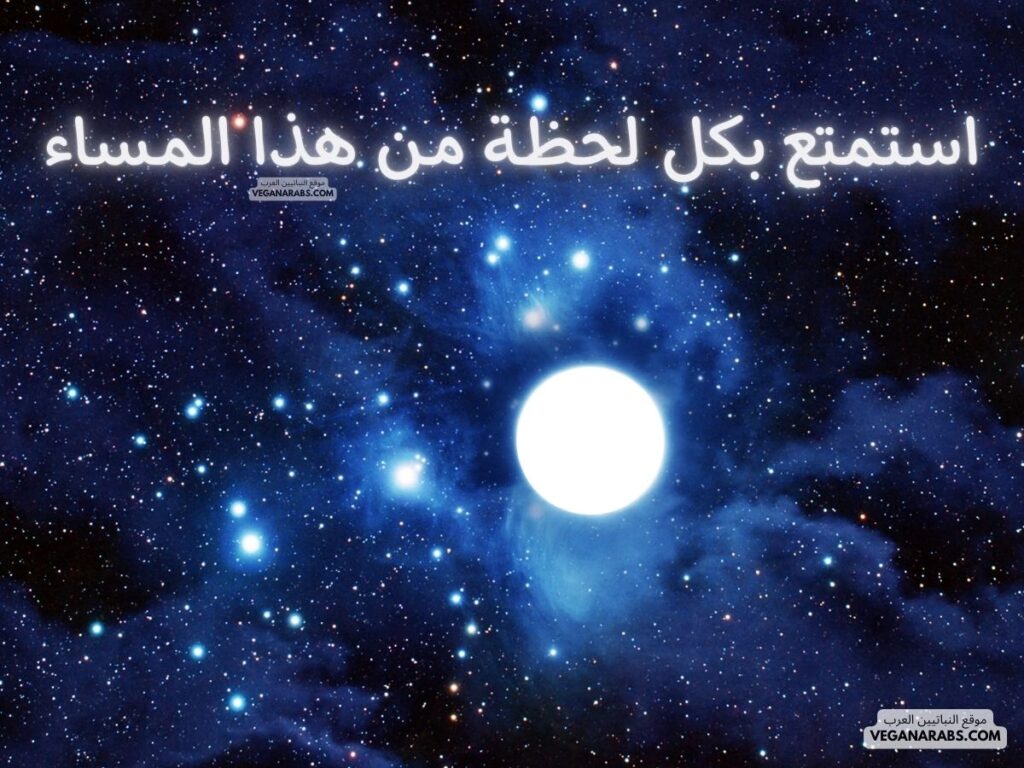 16- استمتع بكل لحظة من هذا المساء. veganarabs.com