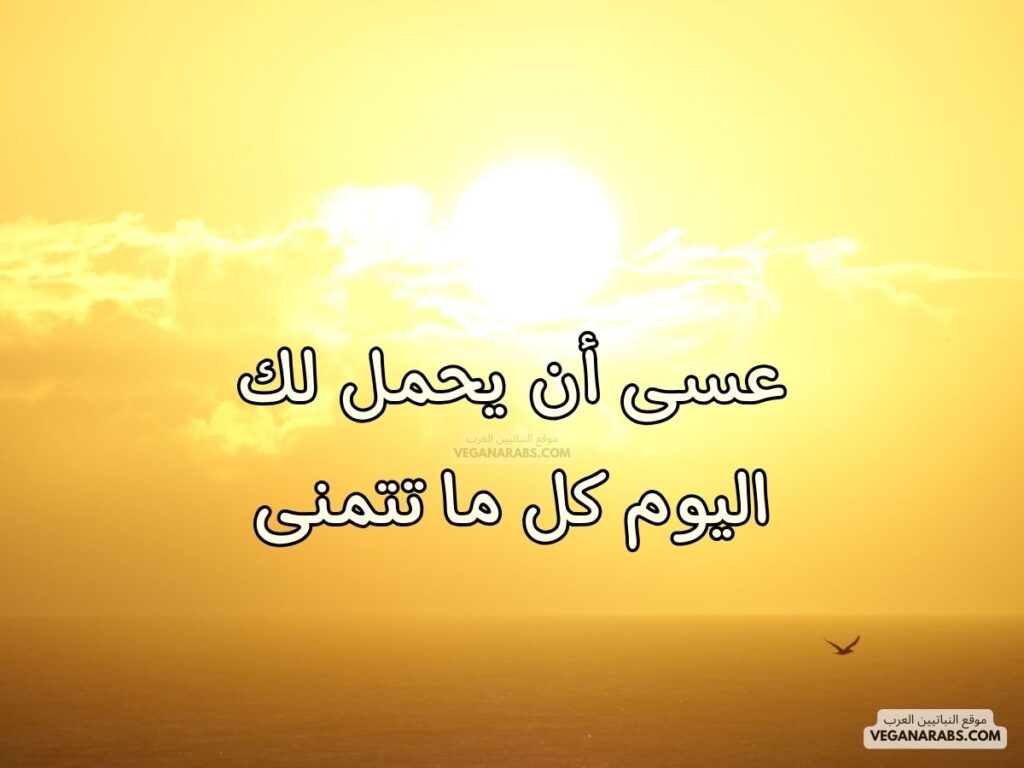 ١٥- عسى أن يحمل لك اليوم كل ما تتمنى.