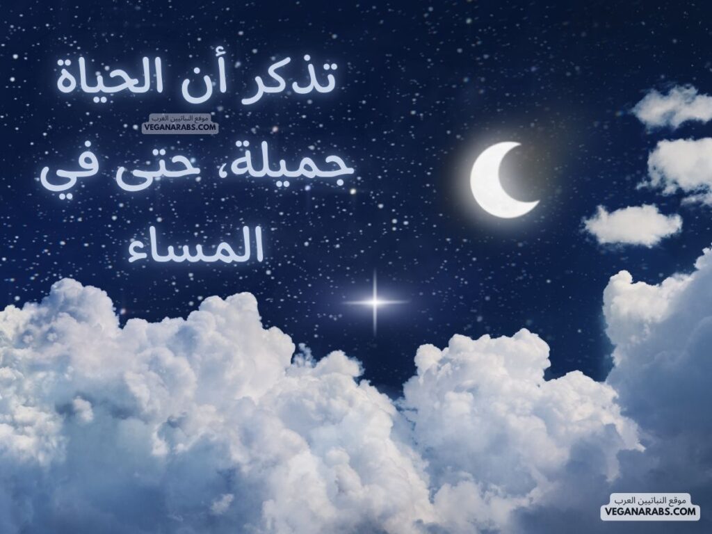 20- تذكر أن الحياة جميلة، حتى في المساء. veganarabs.com