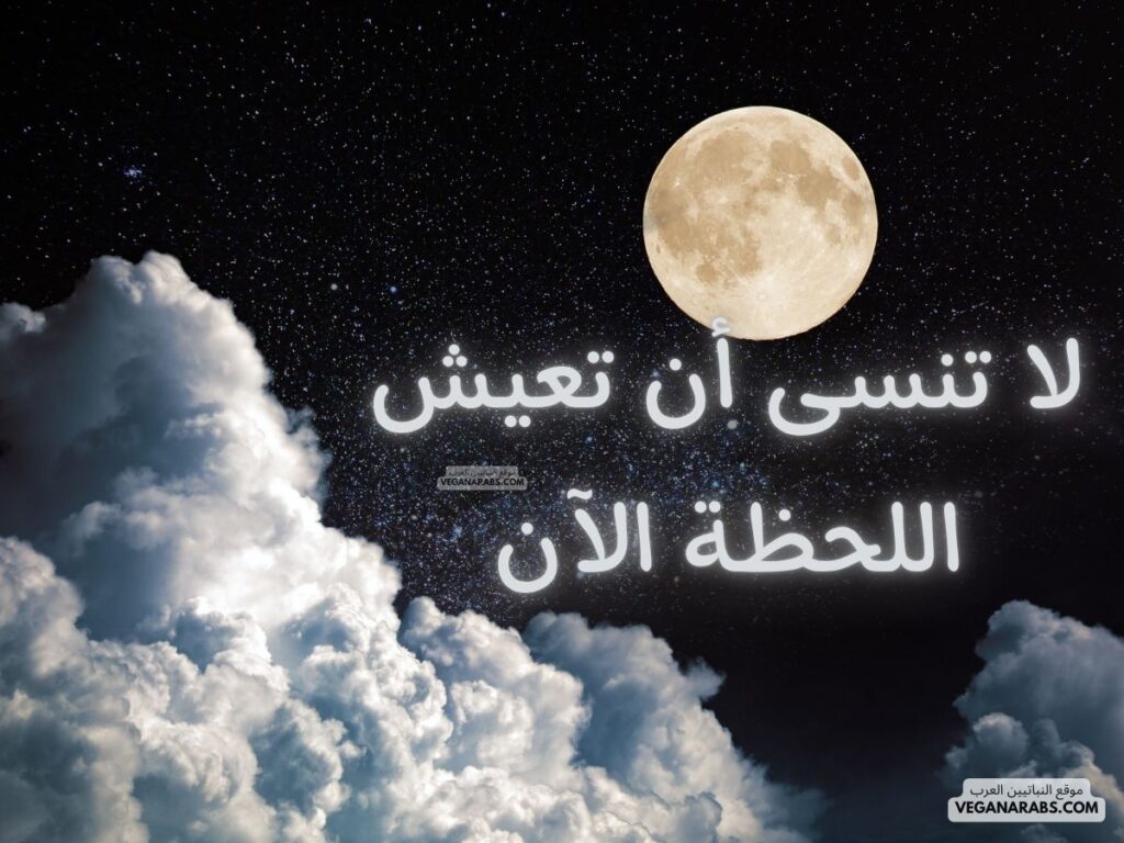 22- لا تنسى أن تعيش اللحظة الآن. veganarabs.com