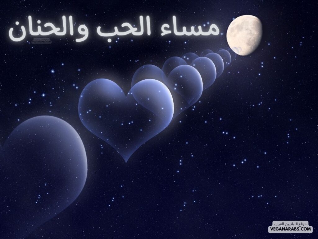 23- مساء الحب والحنان. veganarabs.com