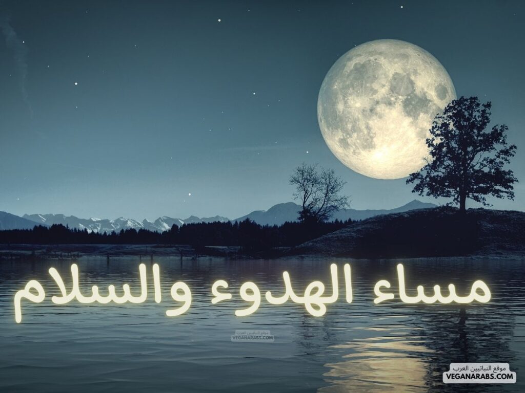 3- مساء الهدوء والسلام. veganarabs.com