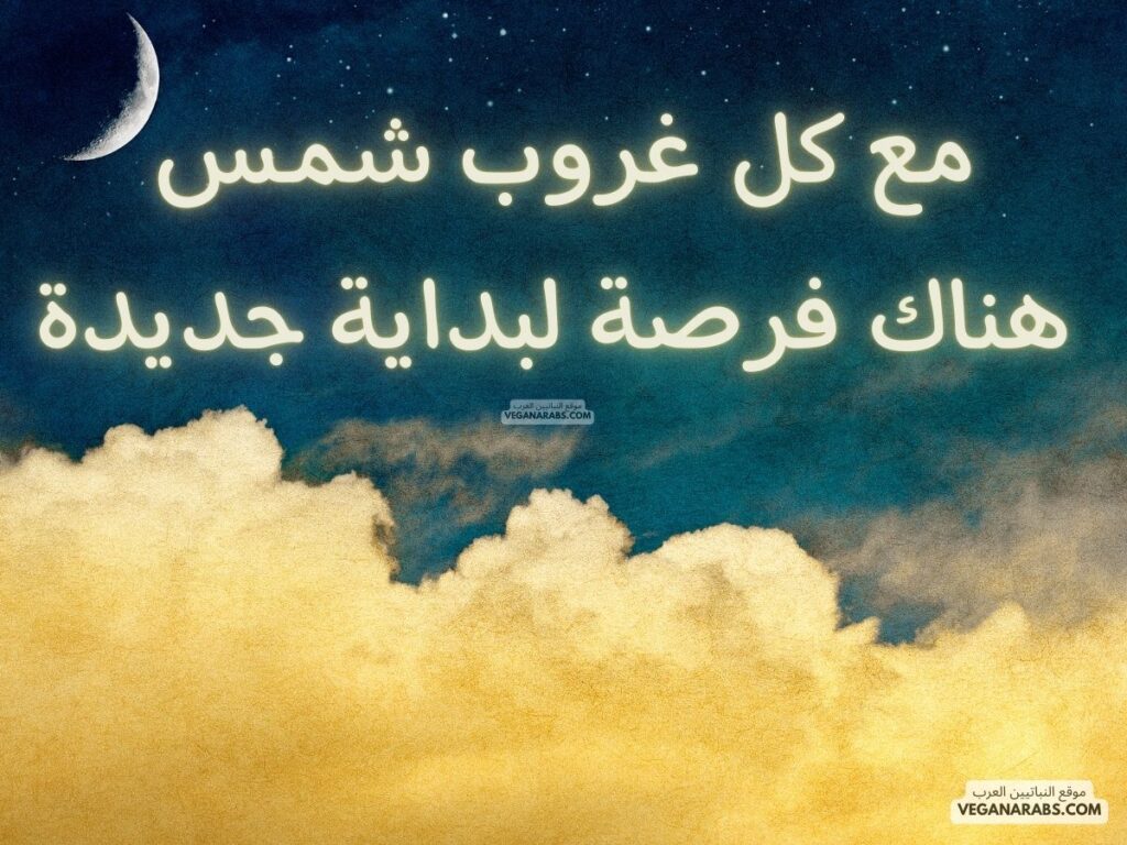 6- مع كل غروب شمس، هناك فرصة لبداية جديدة. veganarabs.com