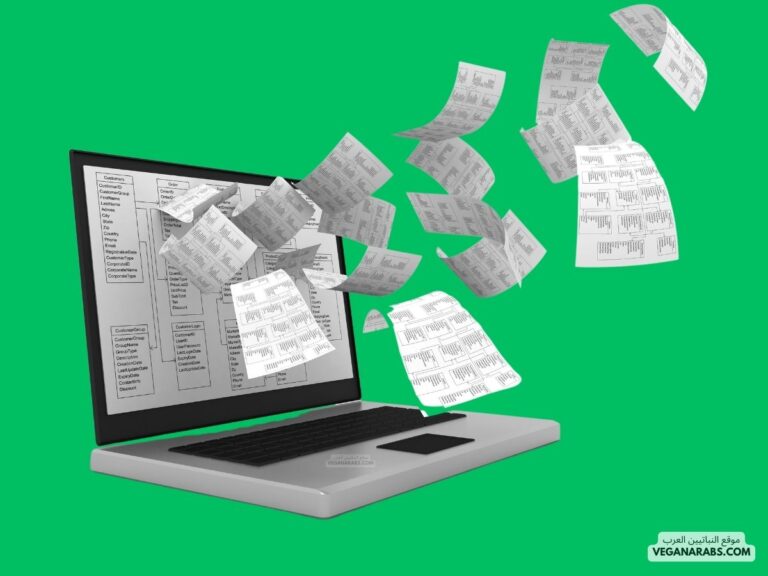 معلومات عن الحاسب