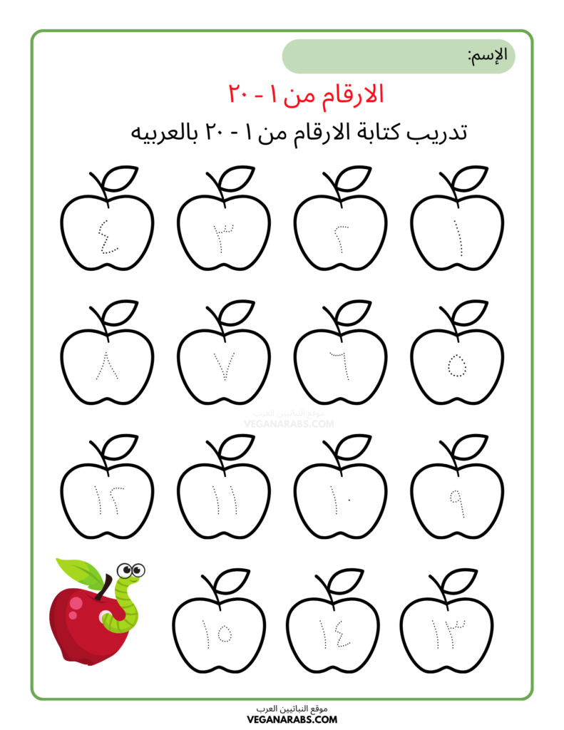أوراق عمل الاعداد من 1 الى 20 بالعربية veganarabs.com 
