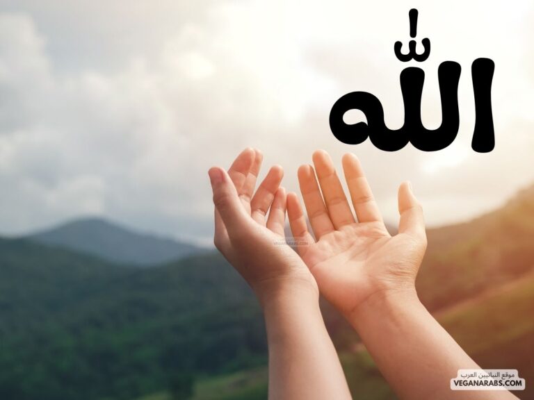 الله