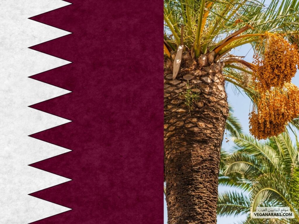 النباتات الزينة ، دوله قطر ...موقع النباتيين العرب