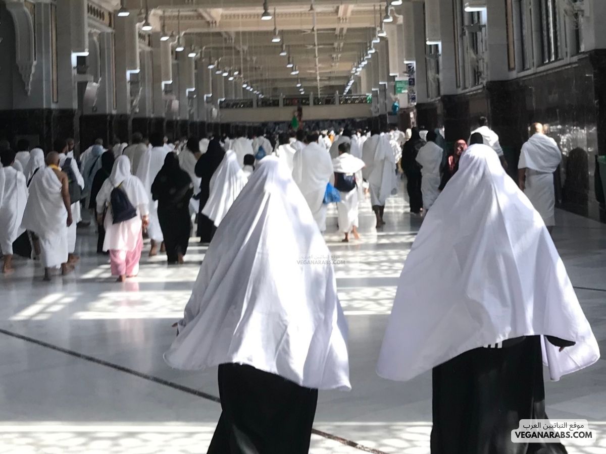 ان الصفا والمروة من شعائر الله