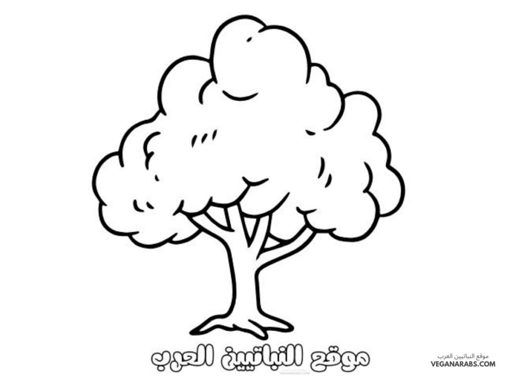 اوراق تلوين للبنات
