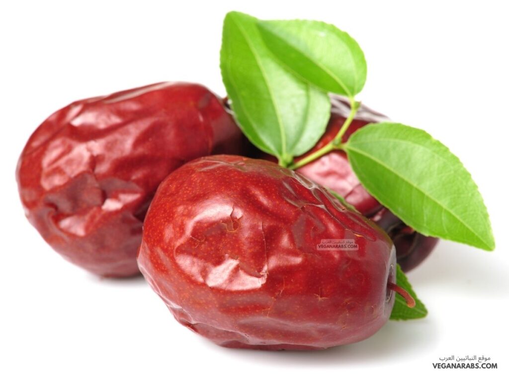 شجرة السدر