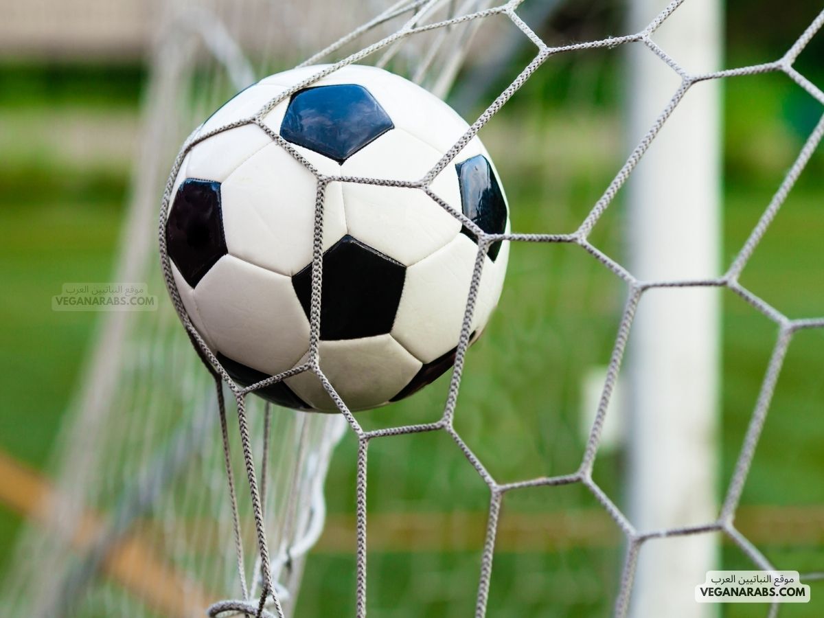 مجريات المباراة: نادى النصر – نادي الهلال