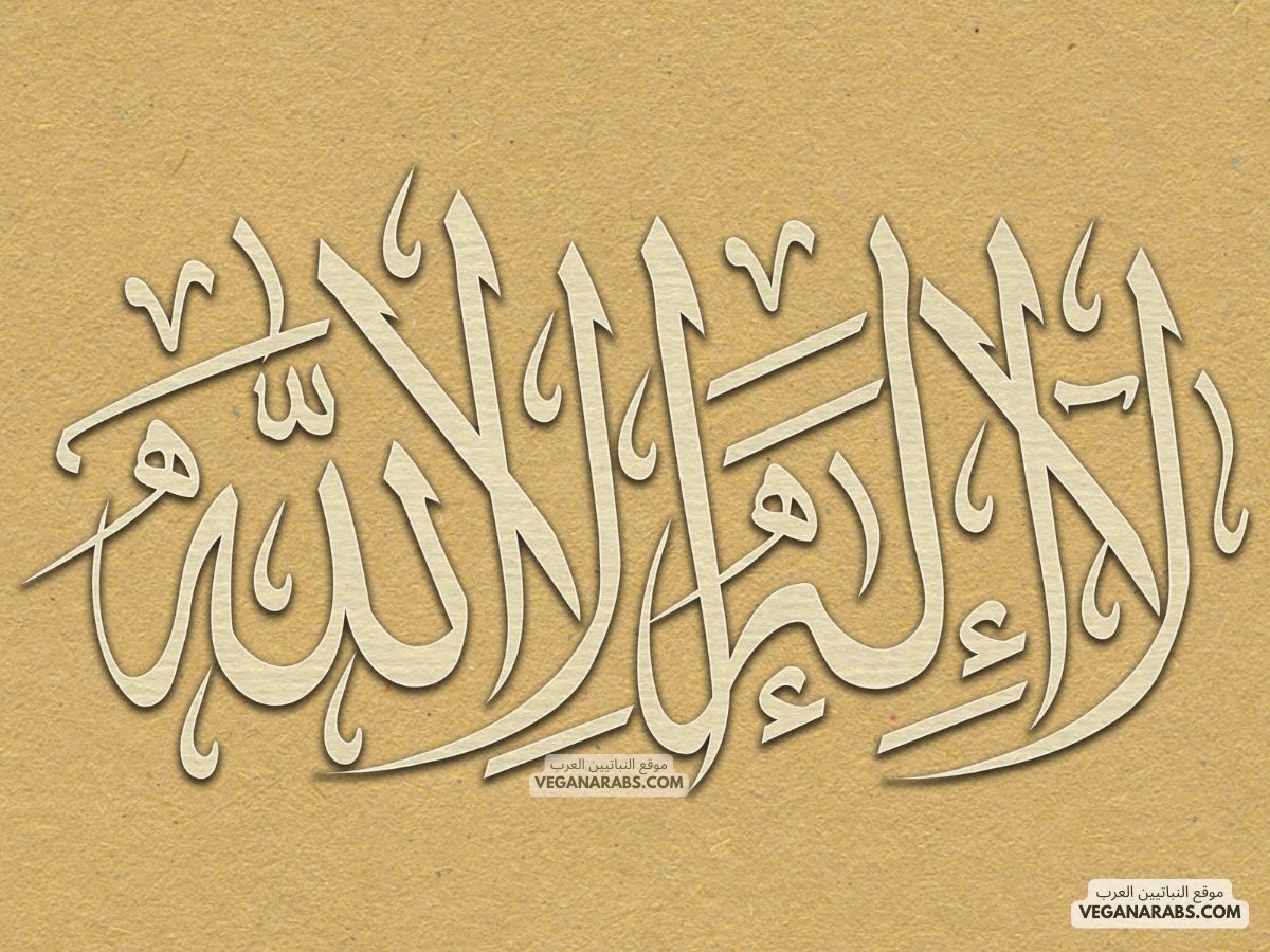موضوع عن اللغة العربية