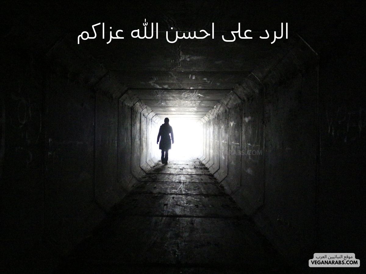 الرد على احسن الله عزاكم