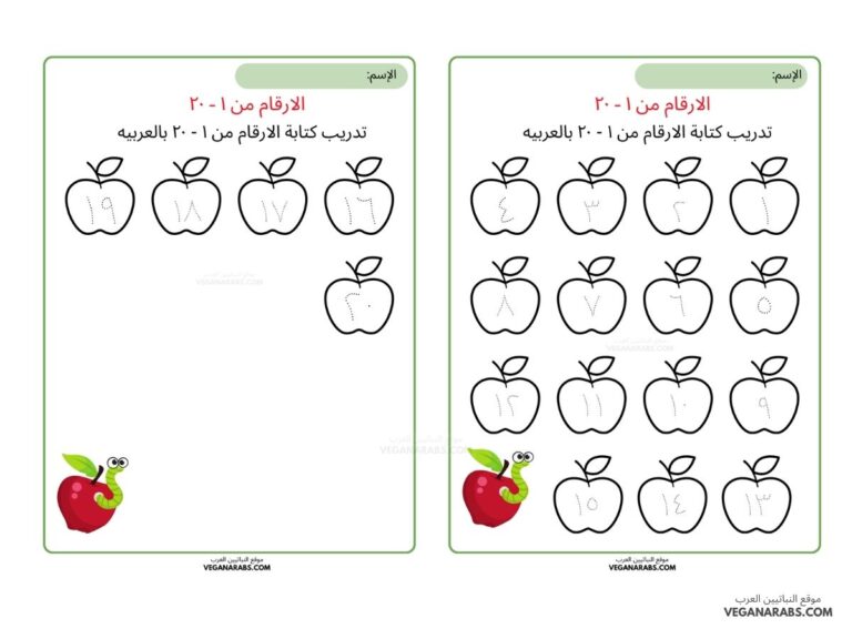 أوراق عمل الاعداد من 1 الى 20 بالعربية