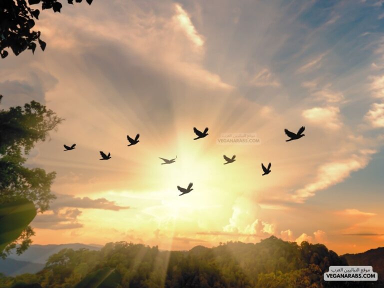 ماذا يحدث لحجم جماعة الطيور اذا تناقص عدد اشجار الغابة