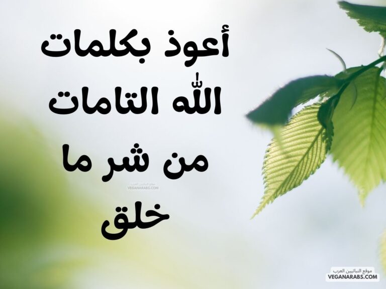 أعوذ بكلمات الله التامات من شر ما خلق