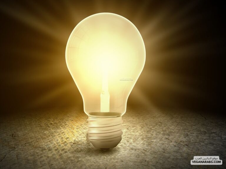 10 معلومات عن السعودية