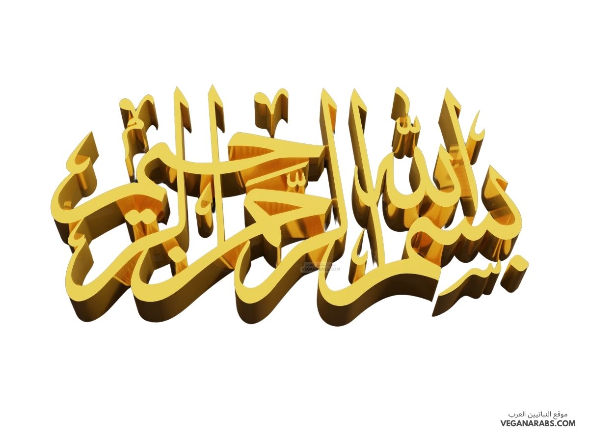 بسم الله الرحمن الرحيم