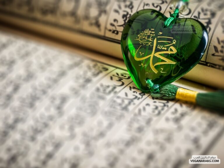 من صور الغلو في النبي صلى الله عليه وسلم :