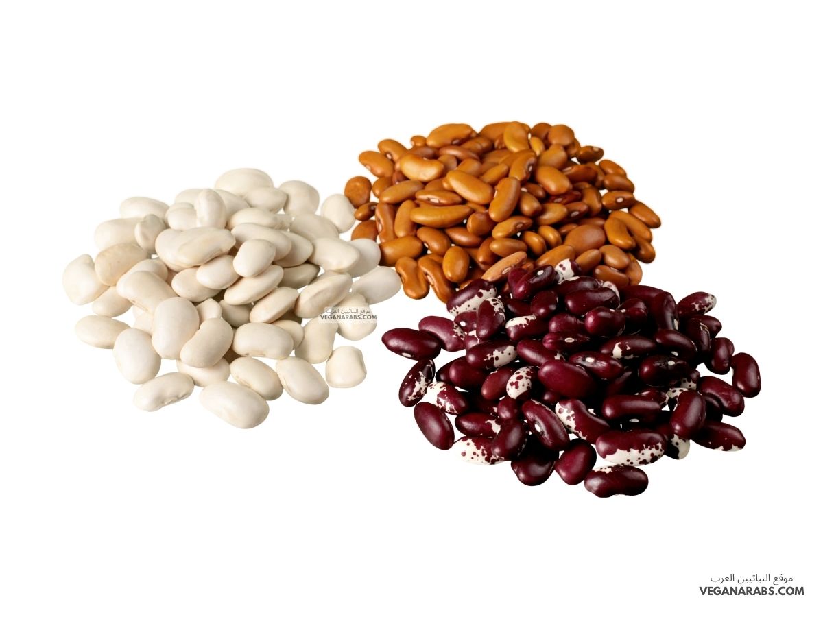 بروتين نباتي