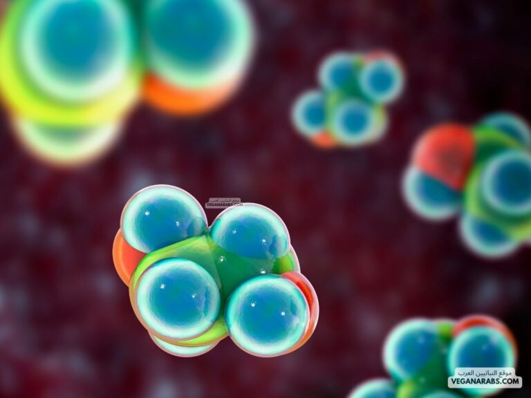 هرمون نباتي يتركز تأثيره على الثمار في مرحلة النضج، هو: