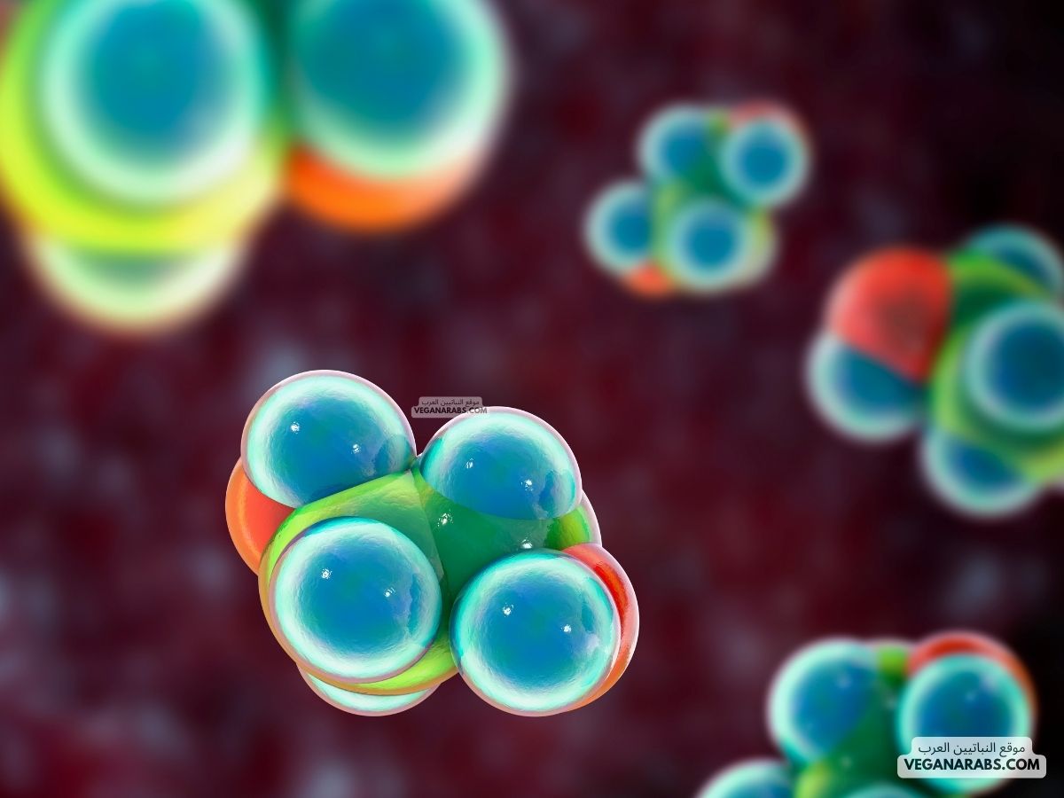 هرمون نباتي يتركز تأثيره على الثمار في مرحلة النضج، هو: