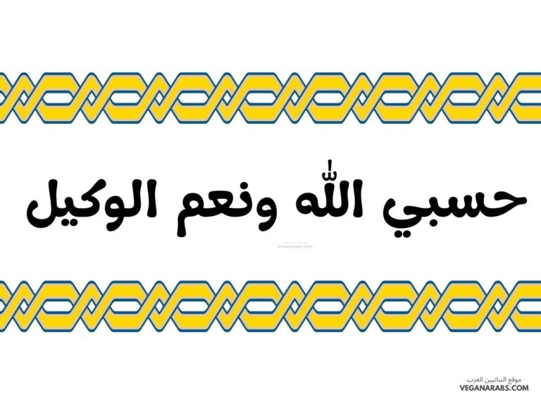 حسبي الله ونعم الوكيل