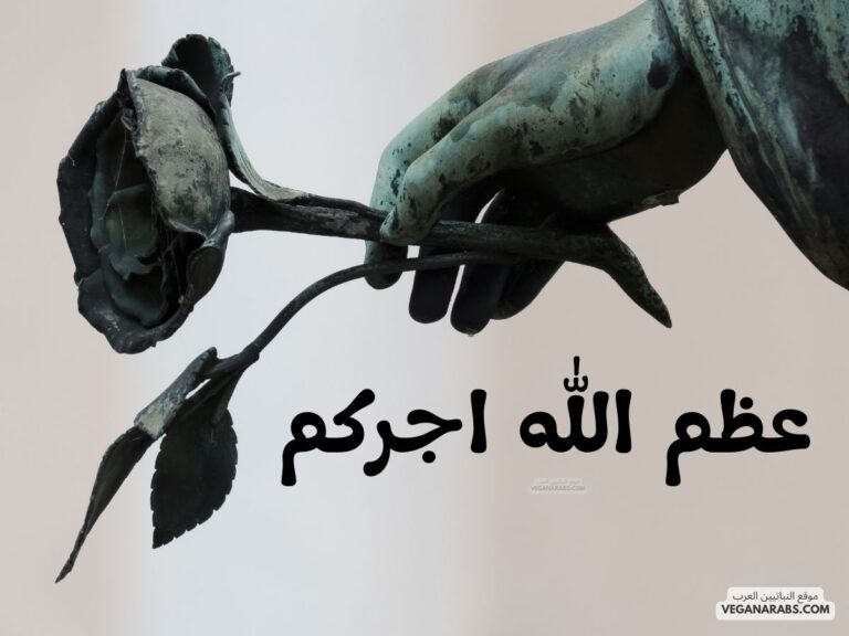 عظم الله اجركم