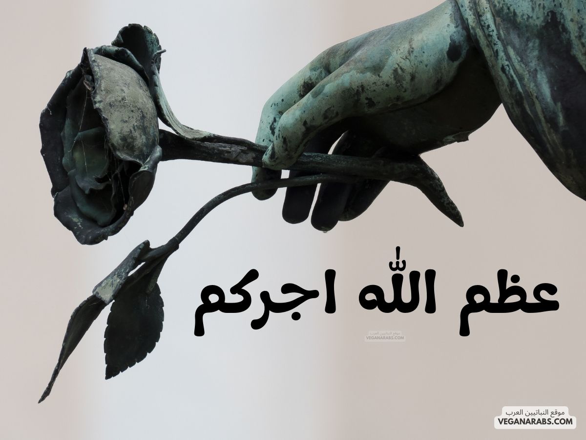 عظم الله اجركم