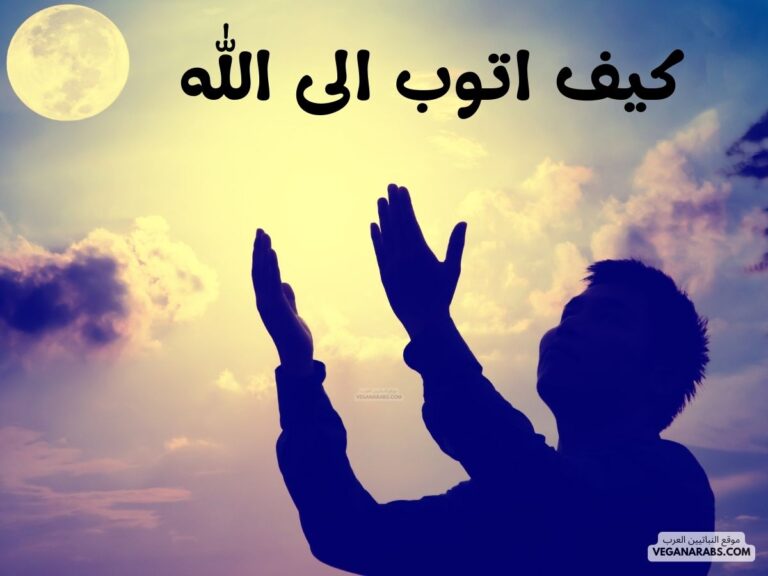كيف اتوب الى الله