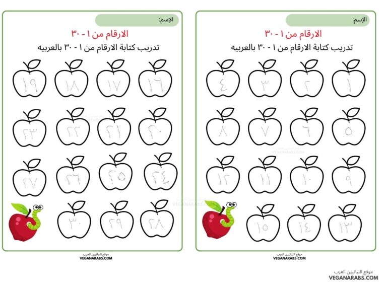 بطاقات الارقام العربية من ١ الى ٣٠
