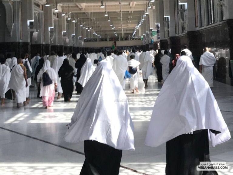 ان الصفا والمروة من شعائر الله