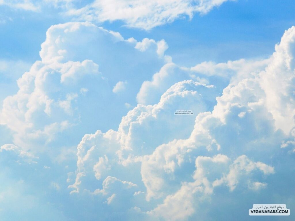 6. هل تعلم أن الغيوم ليست كما تبدو؟