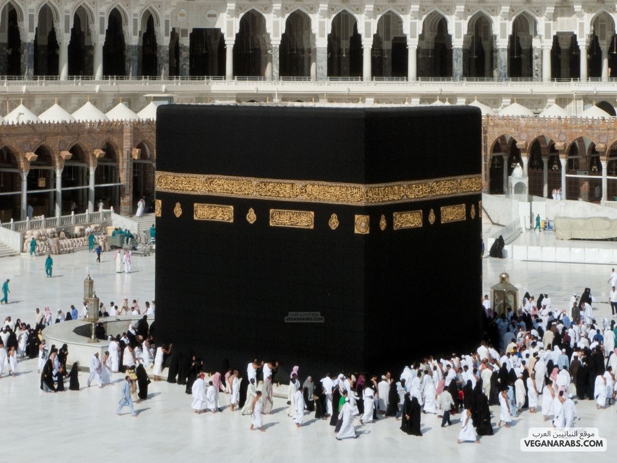 أعلن النبي محمد صلى الله عليه وسلم في العام التاسع من الهجرة بأنه يريد الحج