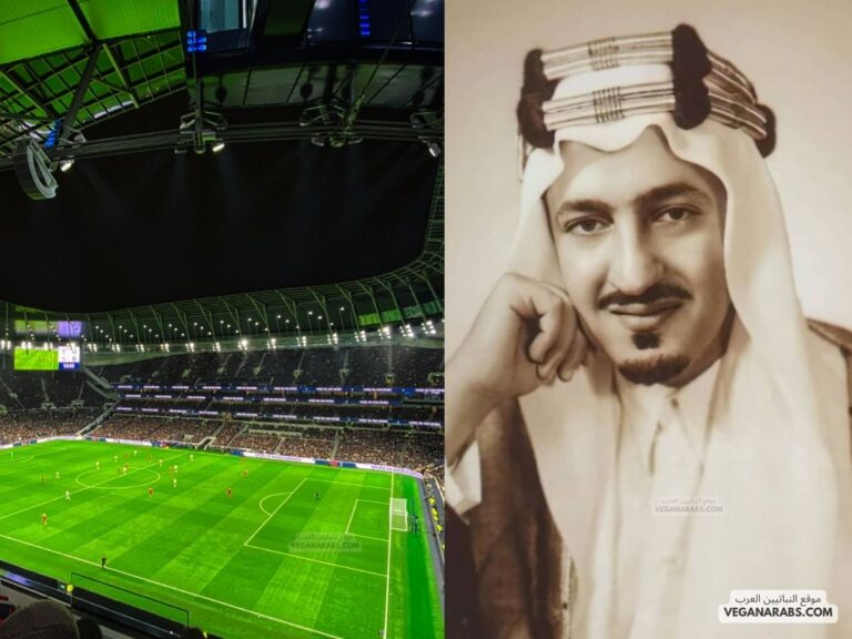 استاد عبد الله الفيصل