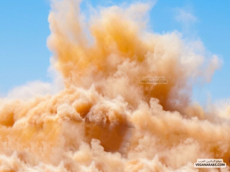 تشكل سحابة من الرمل فوق سطح الأرض في المناطق الجافة التي لايغطيها غطاء نباتي