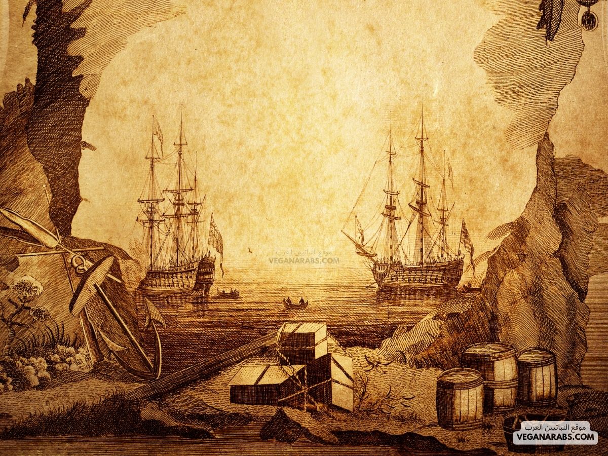 الإنسان هو محور التاريخ وحوادث الإنسان في كل زمان ومكان هي موضوع التاريخ