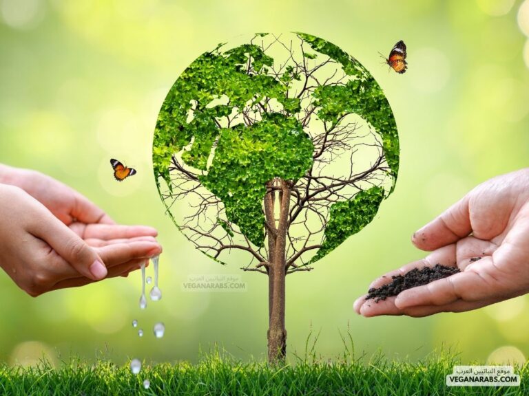 موضوع عن البيئة