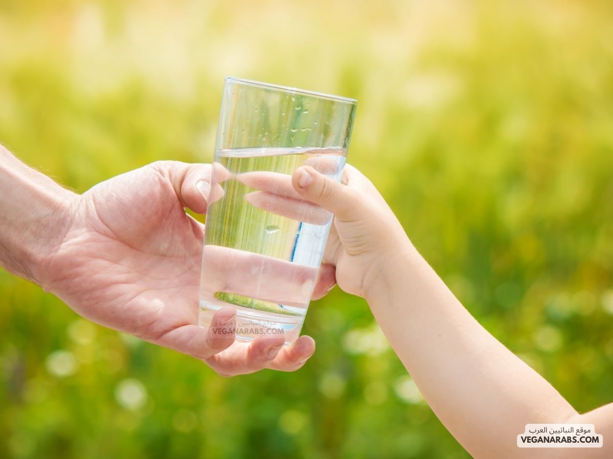 معنى كلمة الأوصاب في موضوع ماء الشرب هي الأوهام