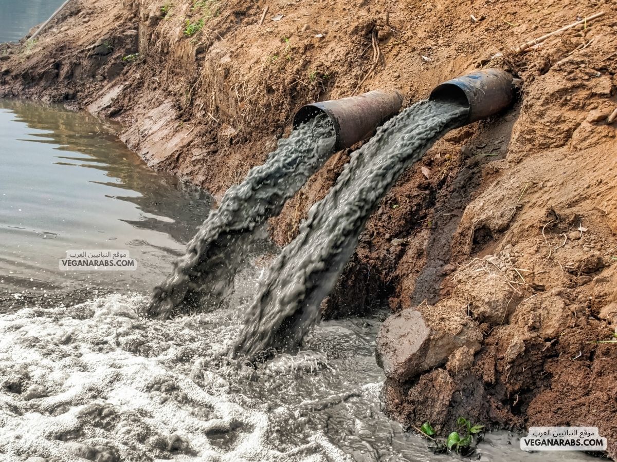 موضوع عن تلوث المياه