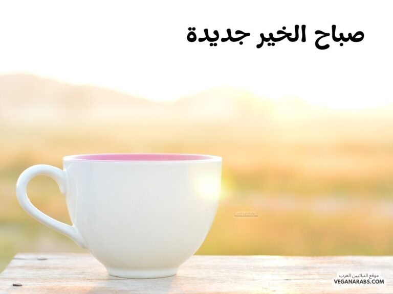 صباح الخير جديدة